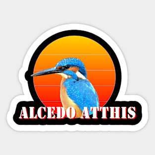 Alcedo Atthis Sticker